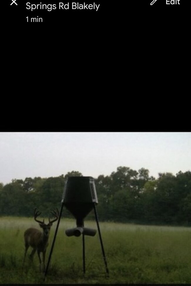 13465 Cedar Springs Rd, Blakely, GA 39823 - photo 5