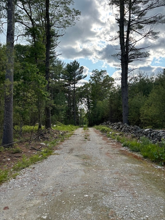 56 Yew St, Douglas, MA 01516 - photo 6