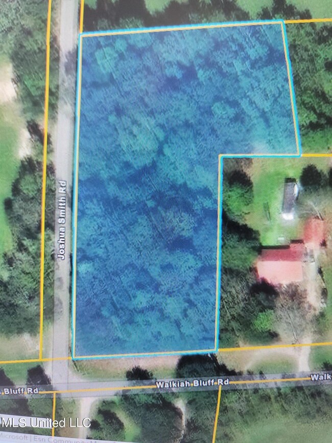 00 Walkiah Bluff Rd, Picayune, MS 39466 - photo 4