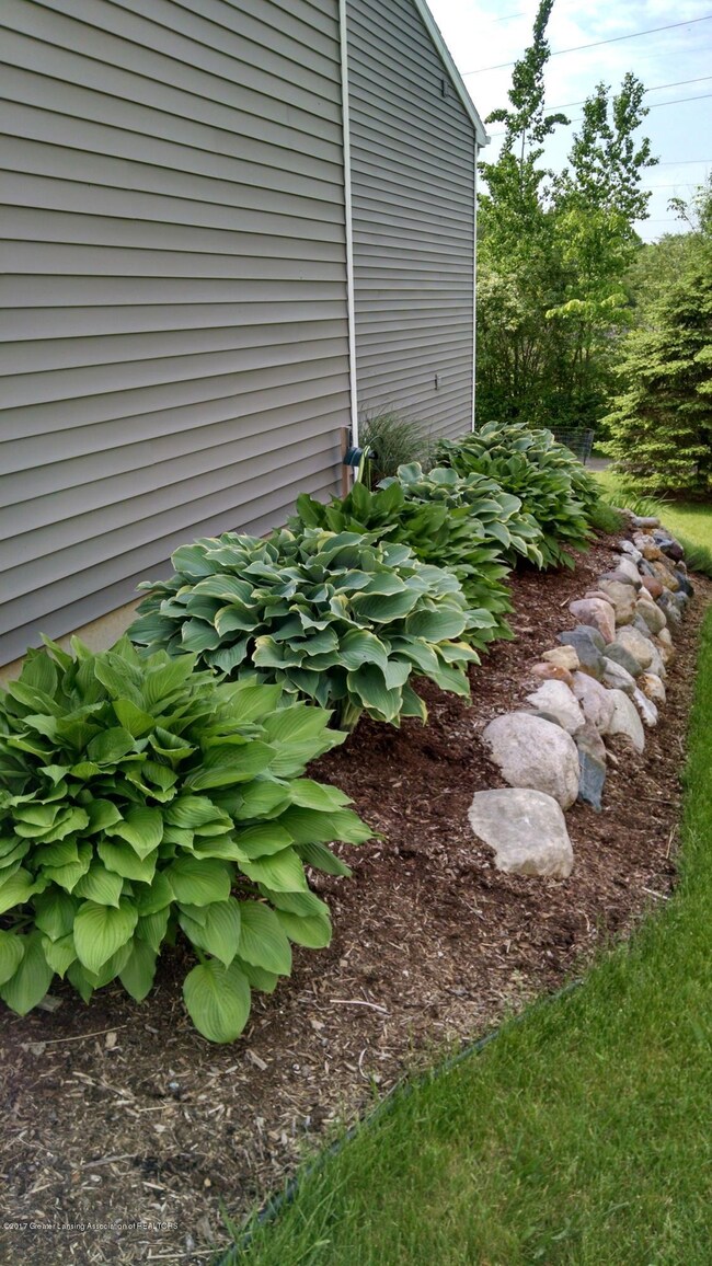 IMG_20160527_105323505_HDR