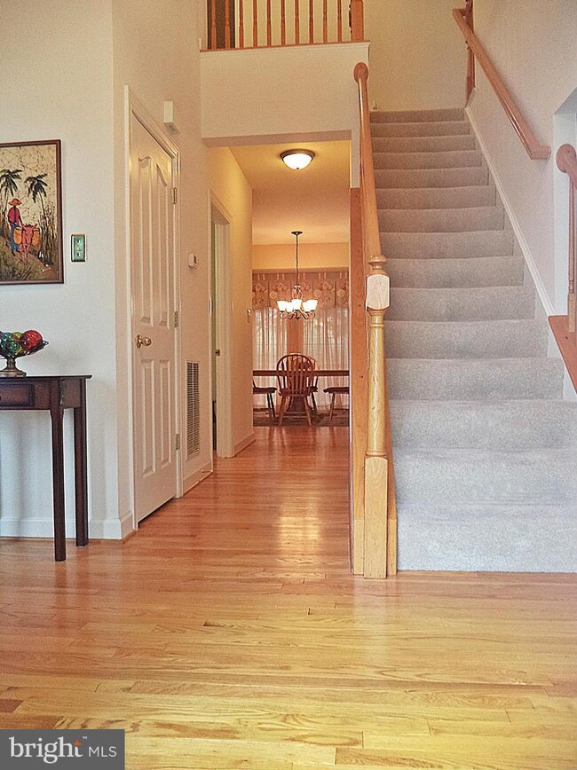 3 Yellow Leaf Ct, Germantown, MD 20876 - photo 4