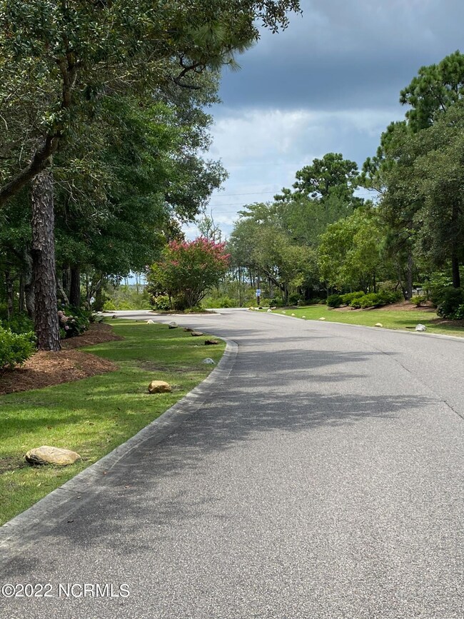 Ocean Forest Entrance