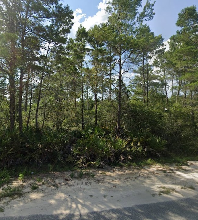 208 Woodill Rd, Carrabelle, FL 32322 - photo 3