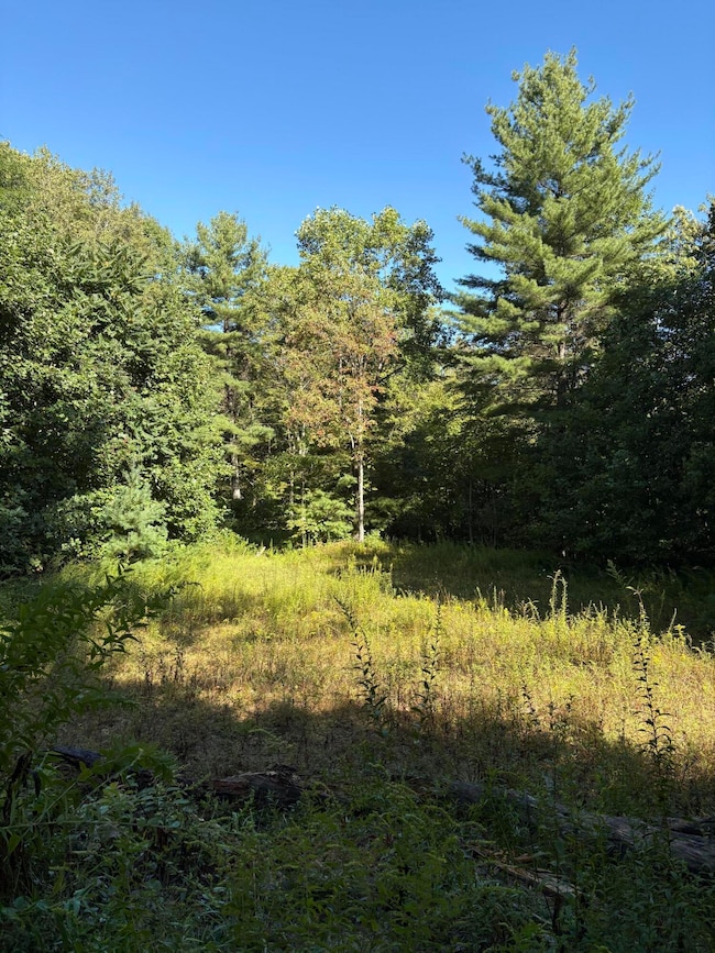 0 Morris Branch Rd unit 25-1144, Meadow Bridge, WV 25976 - photo 6