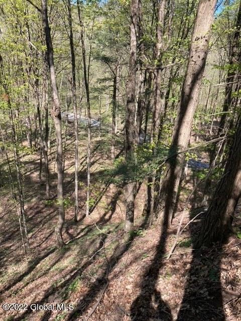 203 Ruhle Rd S, Ballston Lake, NY 12019 - photo 7