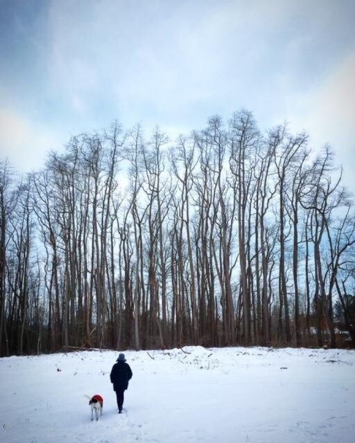 7834 W Youngren Rd, Chikaming Township, MI - photo 6