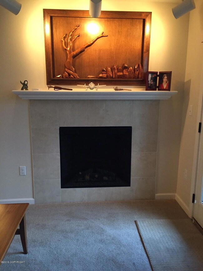 Gas Radiant Fireplace