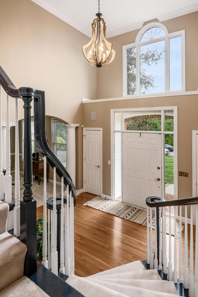 198 Aspenknoll Dr, Powell, OH 43065 - photo 5