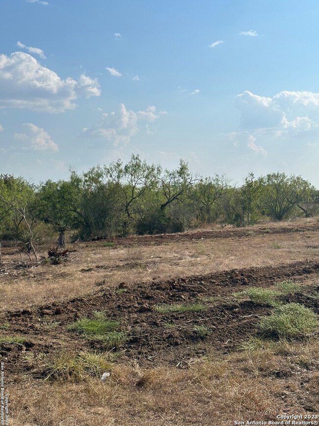 5894 Fm 1107 Unit B-Tract 1, Stockdale, TX 78160 - photo 5