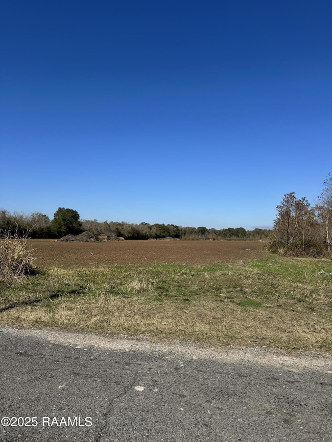 290 Cottage Ln, Church Point, LA 70525 - photo 2