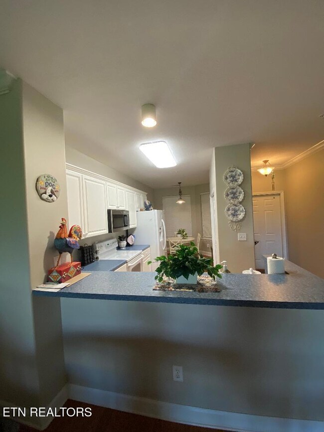 Condo 545 104 Kitchen and snack Bar