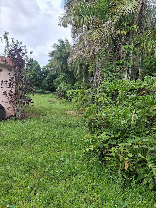 Km 1.5 Carretera 197, Aguas Buenas, PR 00703 - photo 6