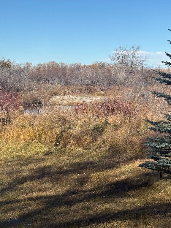 Creek behind property