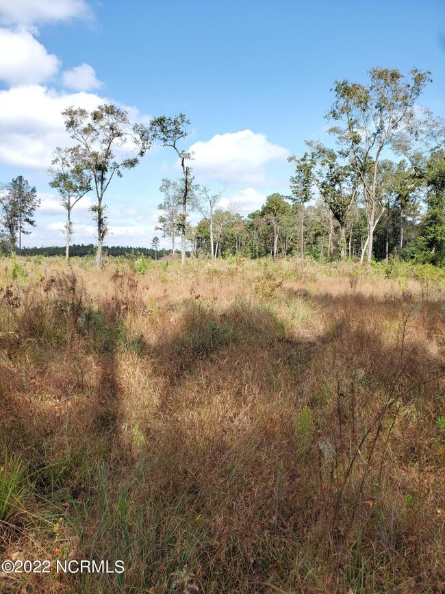 Lot 5-6 Barbeque NW, Ocean Isle Beach, NC 28469 - photo 6