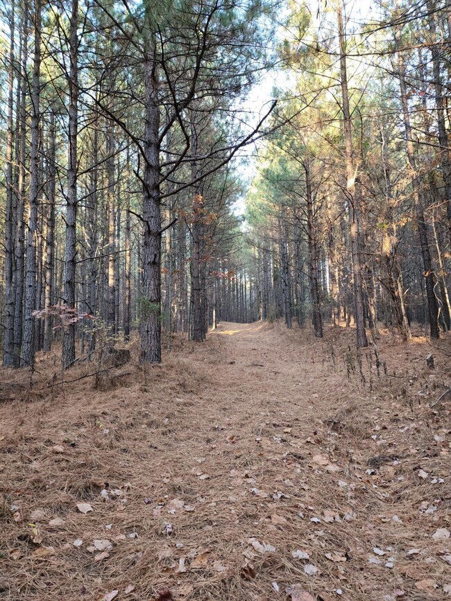 trails