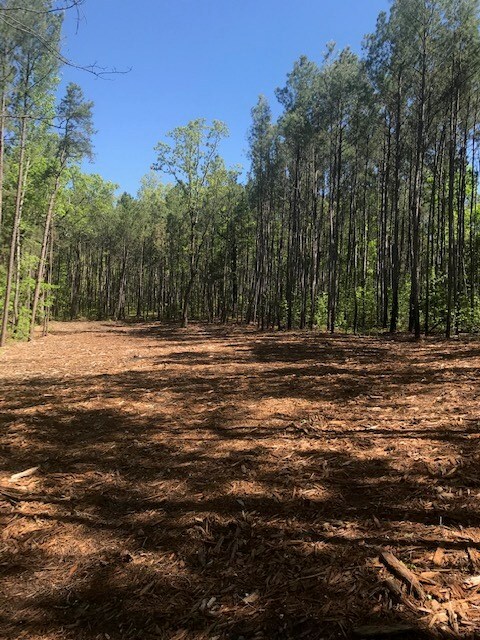 0 Mount Zion Church Rd, Lincoln, GA 30817 - photo 3