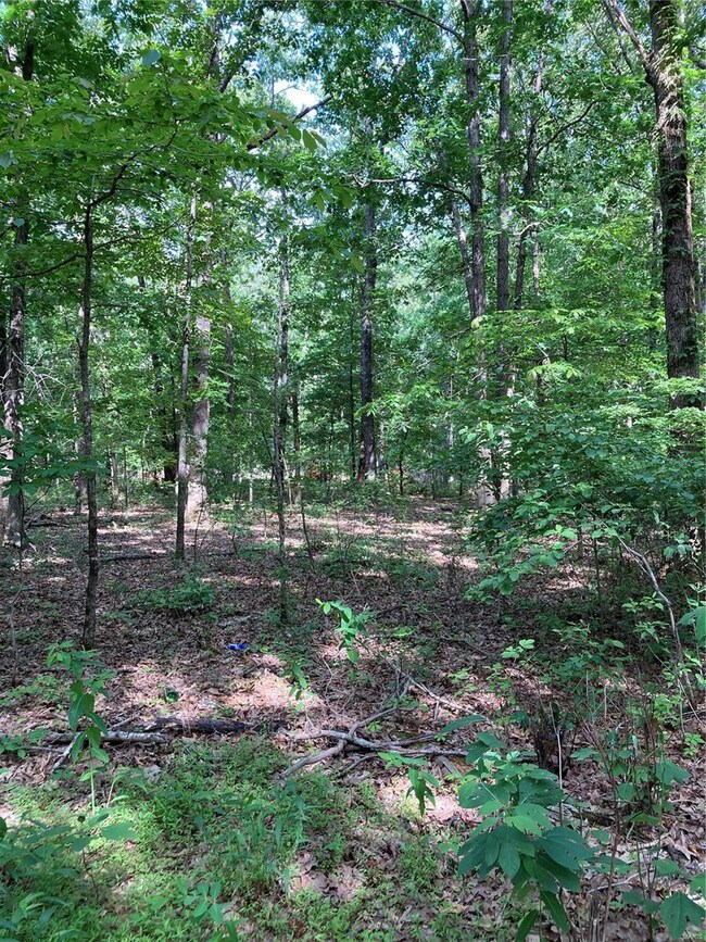 0 Cr 436 unit 22034571, Poplar Bluff, MO 63901 - photo 2