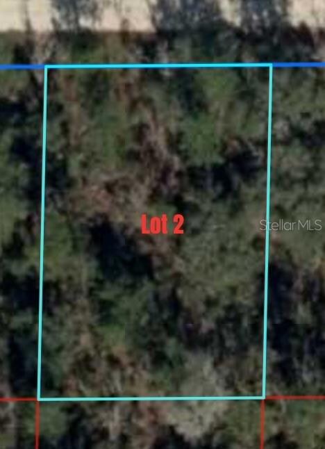 0 NE 66th Ln unit MFRGC520627, Williston, FL 32696 - photo 2
