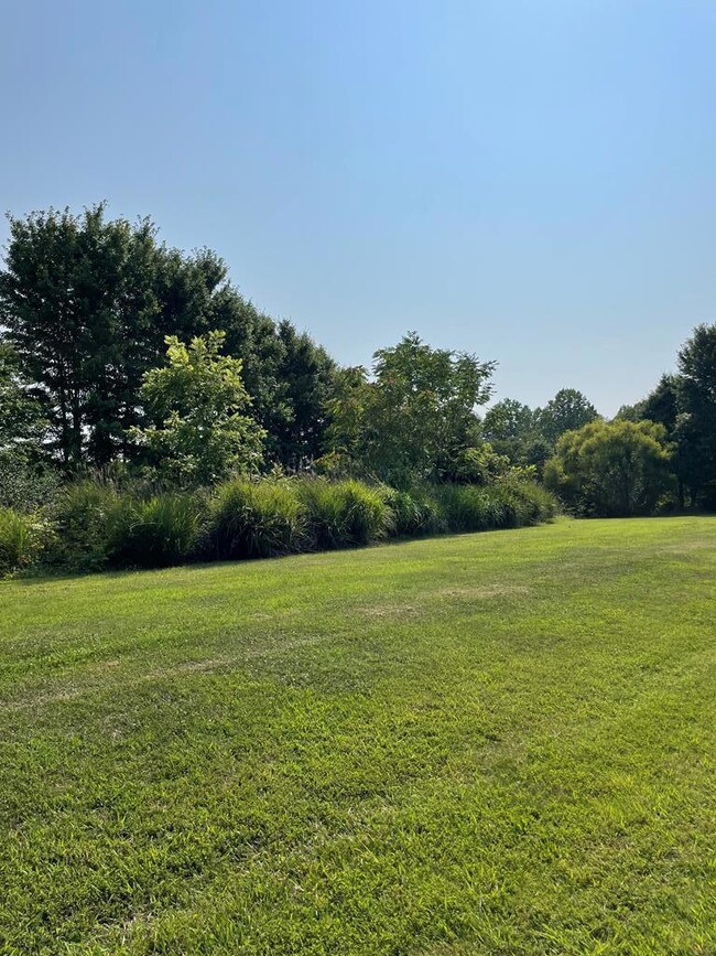 0 Wellspring Ln, South Boston, VA 24592 - photo 4