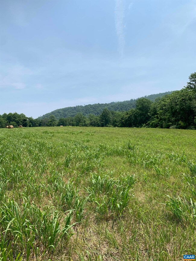 TBD Arrowhead Ln, Charlottesville, VA 22903 - photo 3