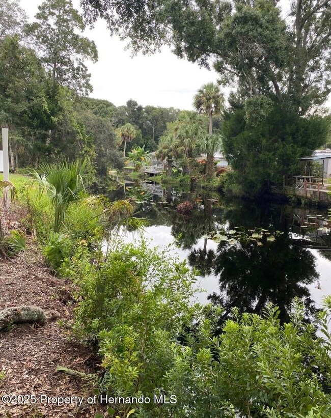 6432 Finance Ave, Weeki Wachee, FL 34607 - photo 7