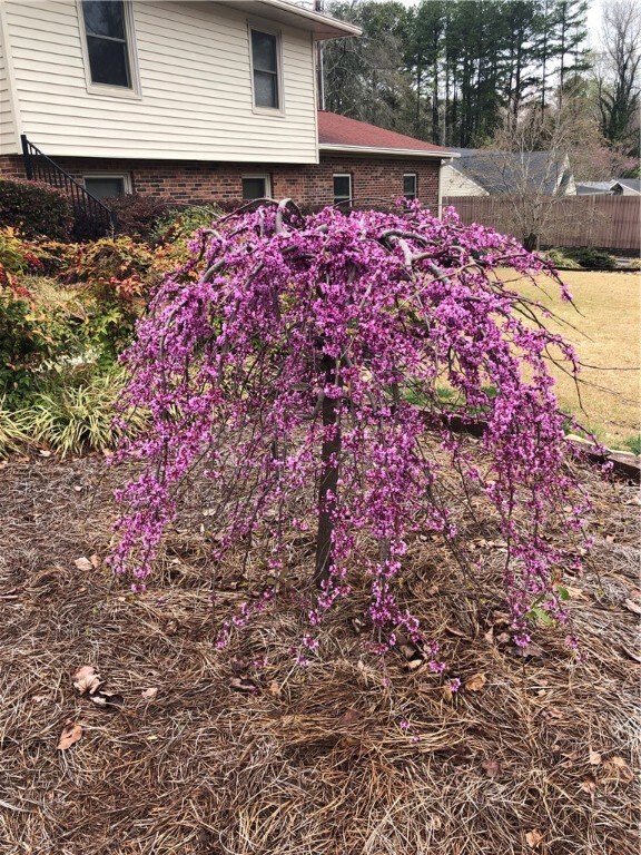 207 Arphenia Dr, West Union, SC 29696 - photo 5