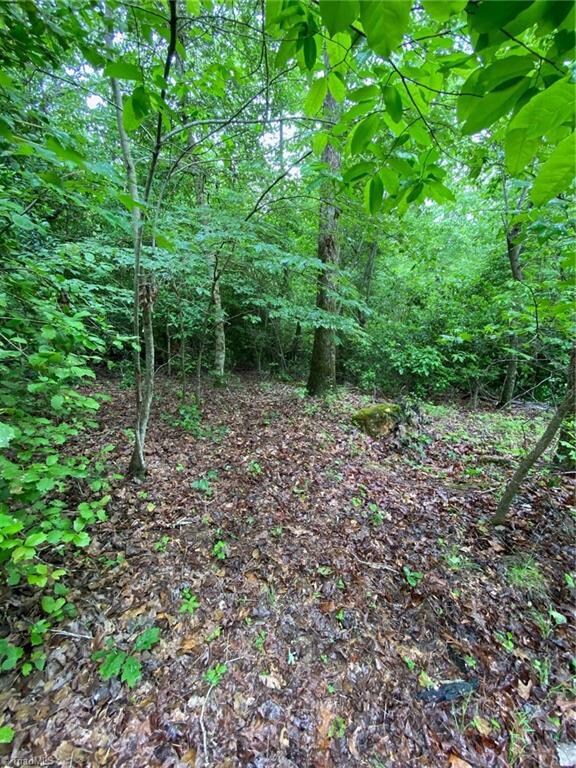 5584 Nc Highway 134, Asheboro, NC 27205 - photo 6