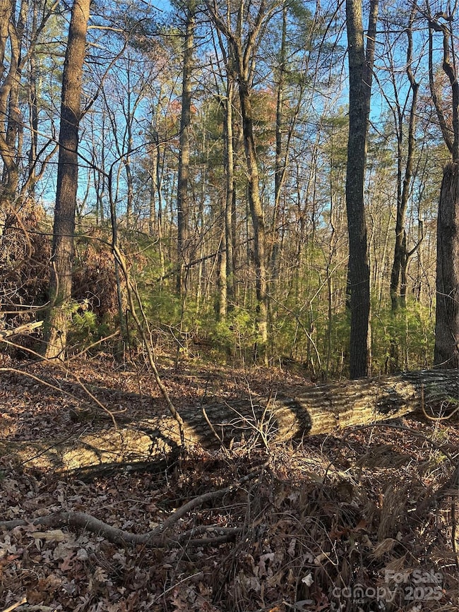 2830 Nix Creek Rd, Marion, NC 28752 - photo 6