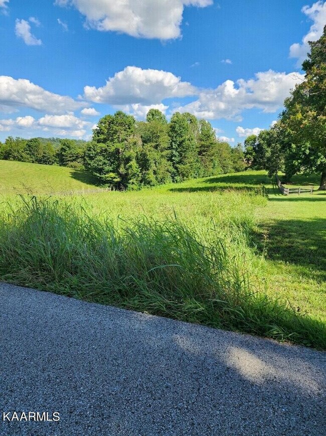 12724 Lovelace Rd, Knoxville, TN 37932 - photo 5