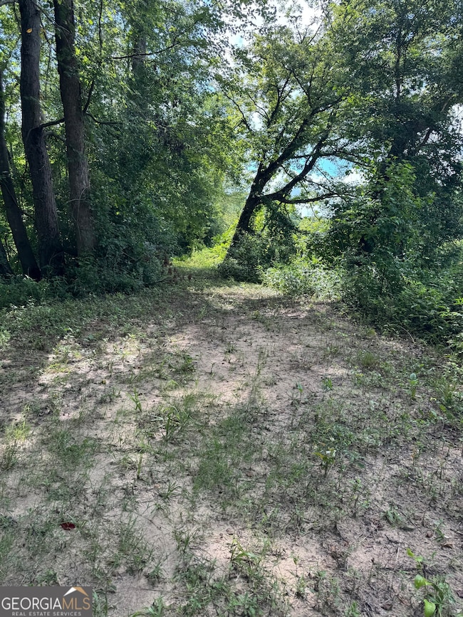 16653 Highway 36, Covington, GA 30014 - photo 7