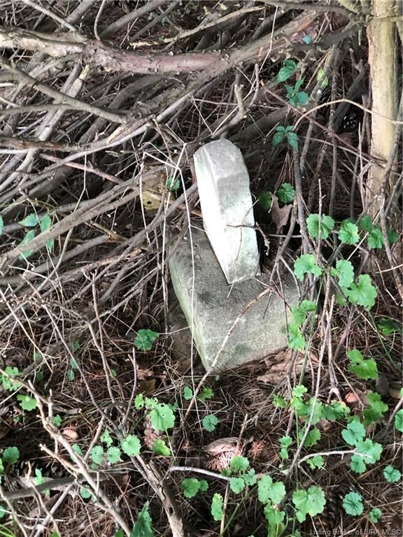 5000 W Willis Rd, Georgetown, IN 47122 - photo 7