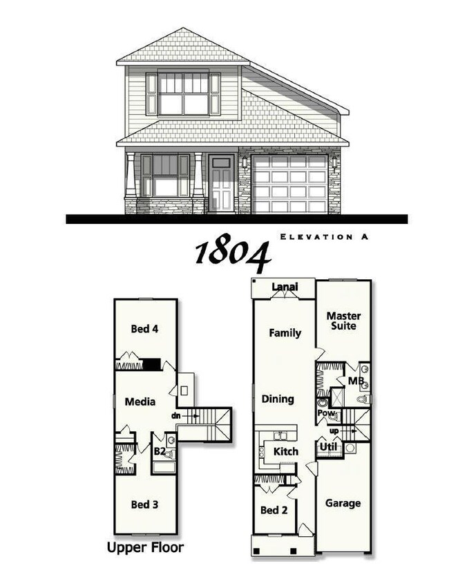 Elevation
