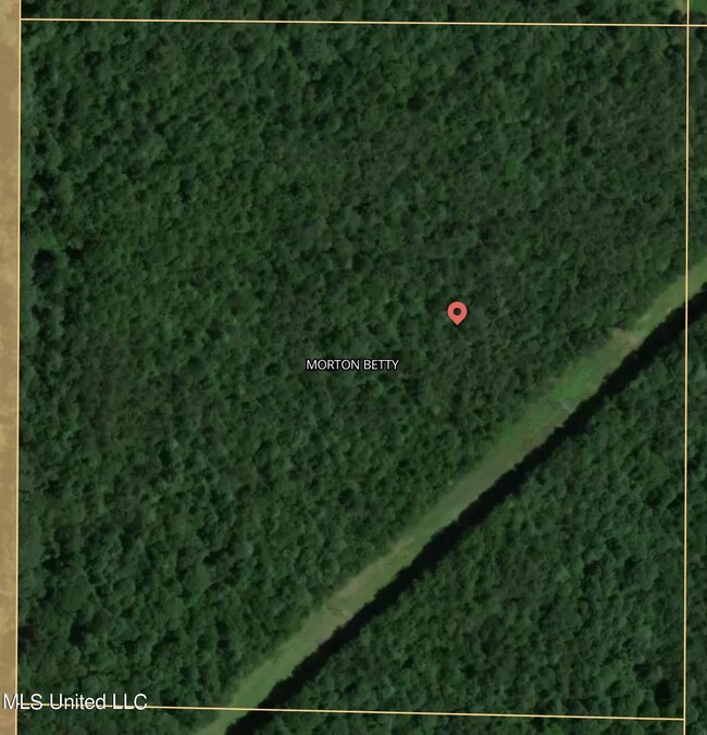 Satellite2