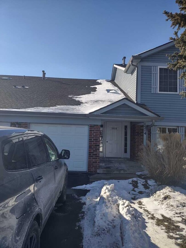 1514 Commodore Ln unit 2, Schaumburg, IL 60193 - photo 2