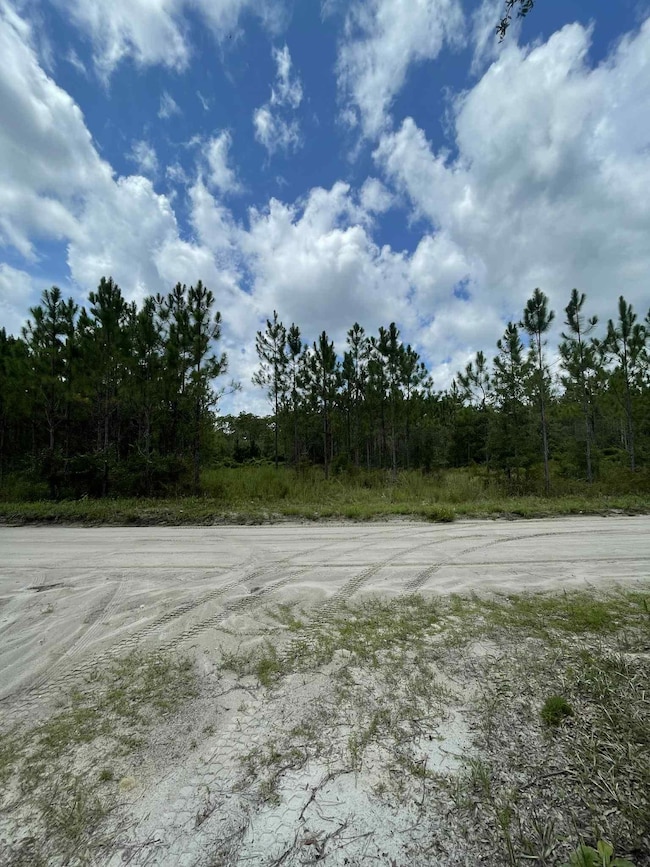 xx Otter Creek Rd, Sopchoppy, FL 32358 - photo 6