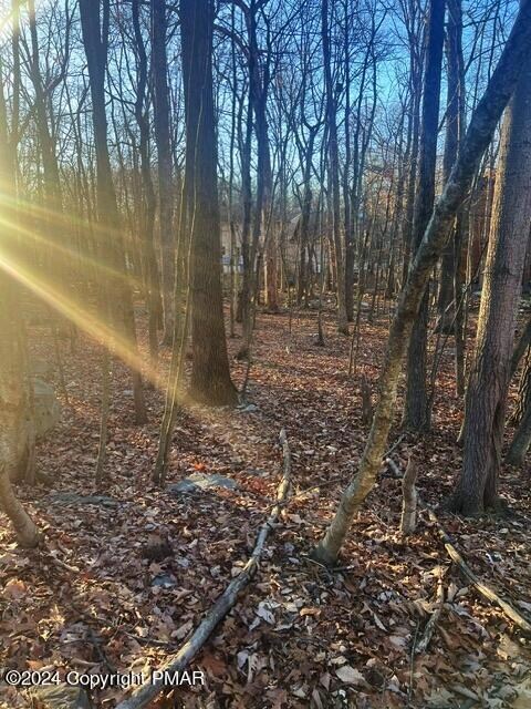 259 Winona Terrace, East Stroudsburg, PA 18301 - photo 5