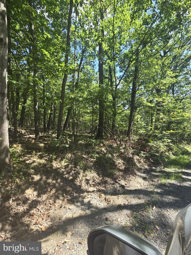 0 White Oak Rd unit VAPA2005362, Luray, VA 22835 - photo 3