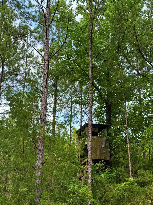 Kennedy Rd, Winnsboro, SC 29180 - photo 6