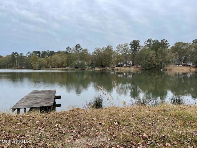 4302 Pine Lake Dr, Terry, MS 39170- Homes.com