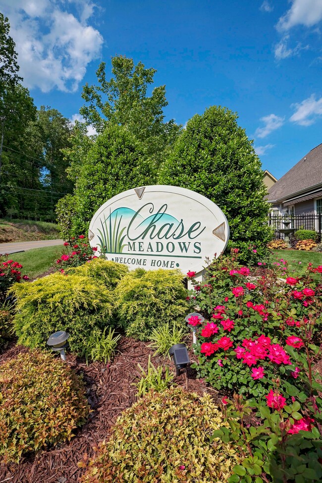 chase-meadows-photos-6