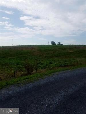 0 Quicksburg Rd unit VASH116708, Quicksburg, VA 22847 - photo 3