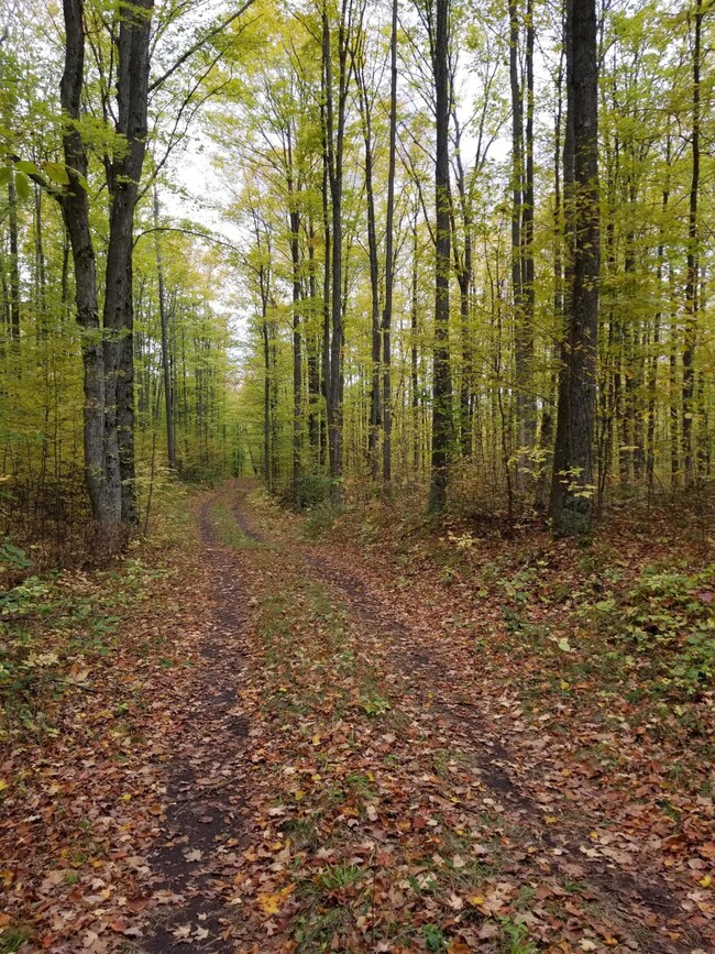 Main road