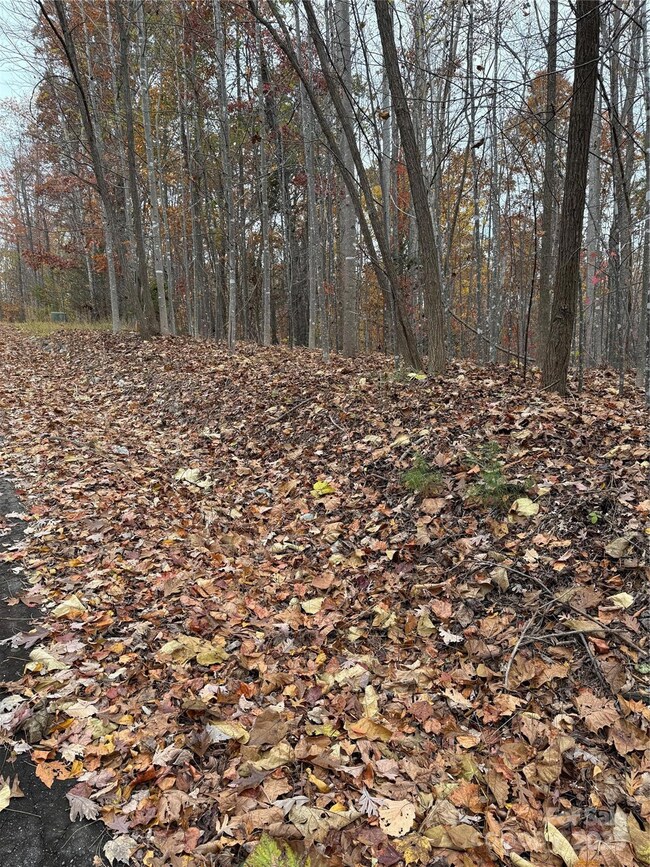 V/L Lot 112 Trail Ridge, Marion, NC 28752 - photo 6