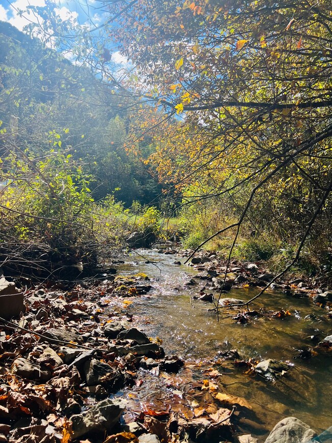 823 Pete Amos Rd, Lindside, WV 24951 - photo 3