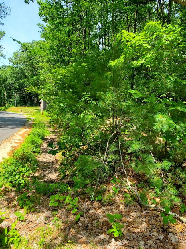 Lot 30 Middle Rd, Waterboro, ME 04087 - photo 3