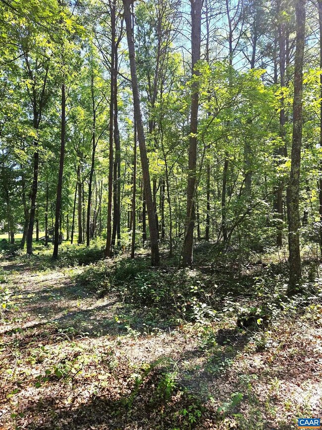 0 Constitution Hwy unit 644383, Orange, VA 22960 - photo 5