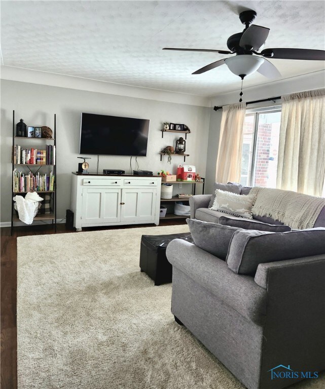 304 Brussel St, Archbold, OH 43502 - photo 4