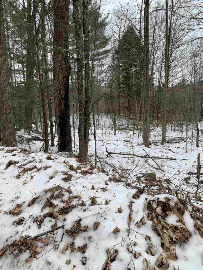 Lot 2 Cheever Rd, Wentworth, NH 03282 - photo 3