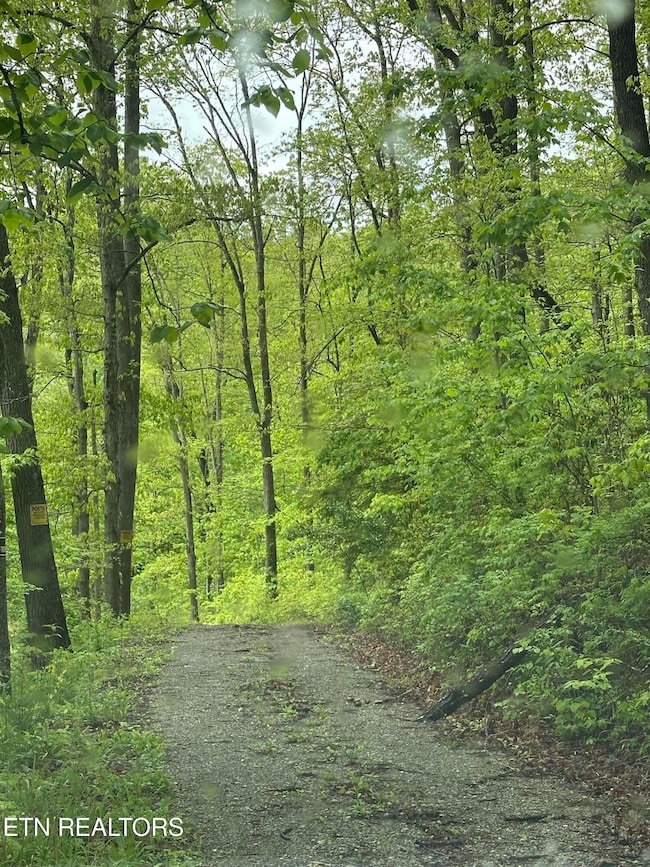 8472 Highway 25 W N, Duff, TN 37729 - photo 7