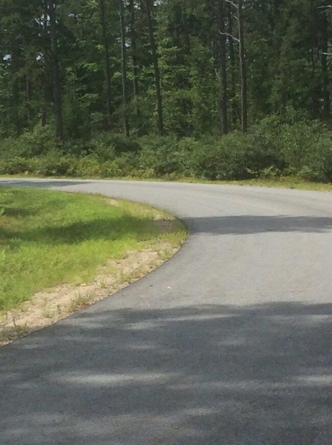 Lot 15 Friedman unit 15, Freedom, NH 03836 - photo 3